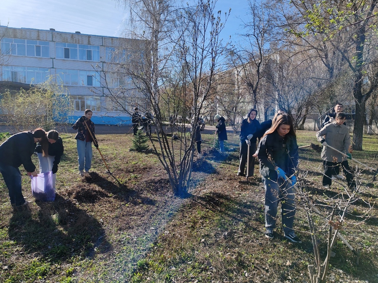 Все на субботник!.